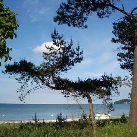 In Der Regina In * Sassnitz